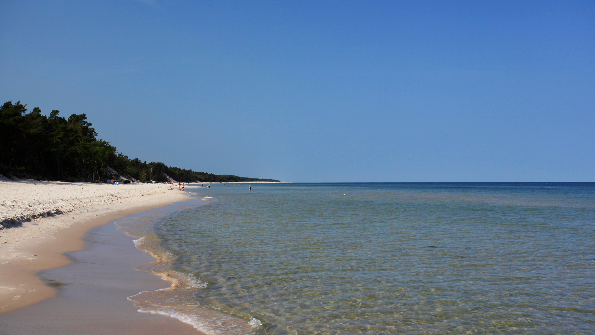 Szeroka piaszczysta plaża w Karwi nad Morzem Bałtyckim — czysta woda i nadmorski las sosnowy, 7 minut pieszo od obiektu
